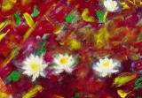 Red & White Lilies